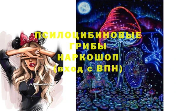 Альфа ПВП Аркадак
