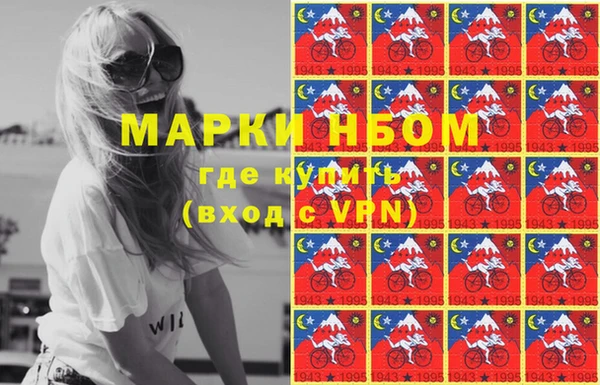 Альфа ПВП Аркадак