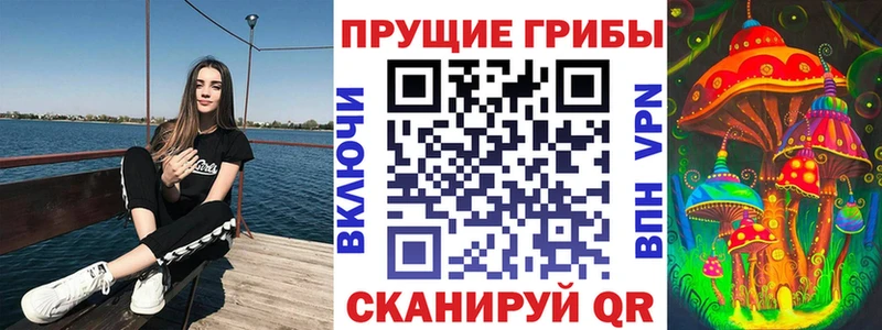 Галлюциногенные грибы мицелий  хочу наркоту  Городище 